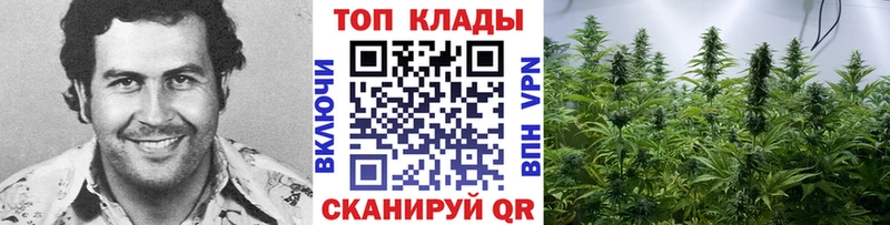 Сколько стоит Ельня Alpha-PVP  БУТИРАТ  МЕФ 