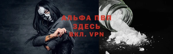 круглые Белокуриха