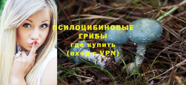 круглые Белокуриха