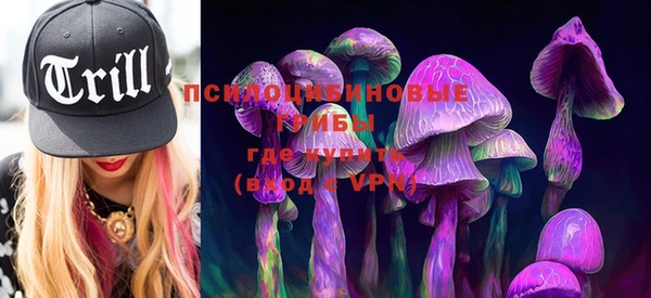 круглые Белокуриха