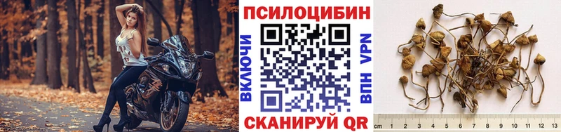 Галлюциногенные грибы Magic Shrooms  Ельня 